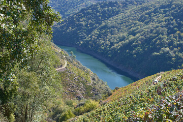 A viewpoint of the Sil Canyons in the Ribeira Sacra, in Sober, Lugo, Spain