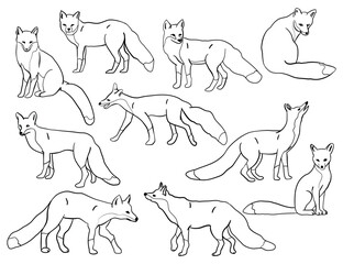 Fox silhouettes set, large pack of vector silhouette design, isolated white background