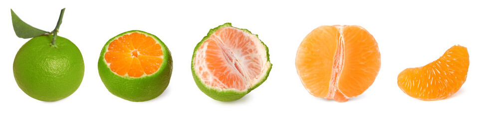 Fresh green tangerines isolated on white, collage