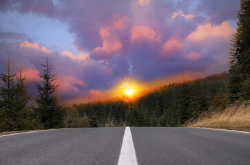 Empty asphalt road and forest at beautiful sunset