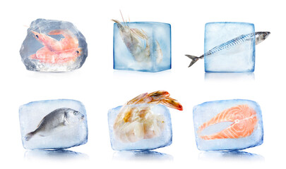 Frozen food. Different seafood in ice cubes isolated on white, set