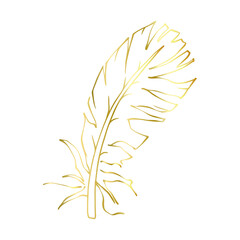 Fototapeta premium Golden outline of a bird feather. Vector graphics.