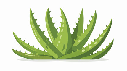 Aloe vera plant flat isolated illustration isolated - obrazy, fototapety, plakaty