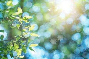 A leafy tree with a bright blue sky in the background