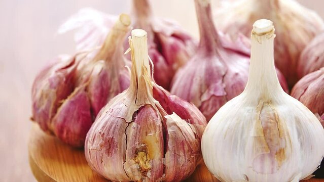 Gyration old garlic on a wooden table background.