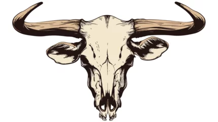 Foto op Aluminium Animal skull with horns cow bull head isolated illus © iclute