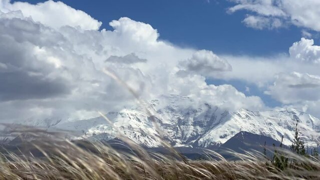 View of Lenin Peak against the background of waving grass. The Pamir mountain system. Colorful Pamir mountains, mountain ranges, snow-capped peaks, glaciers and hills. Kyrgyzstan 4K