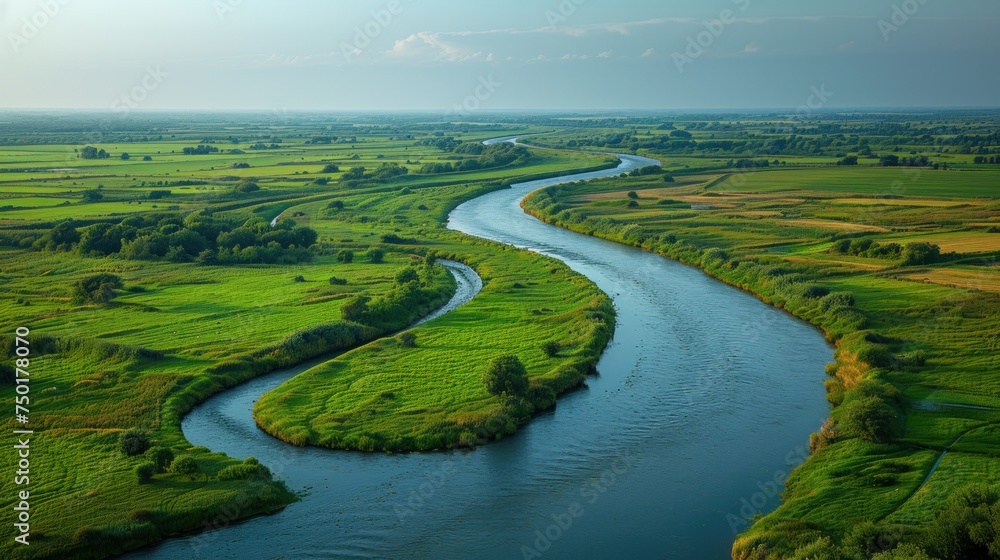 Poster an aerial view of a river running through a lush green field next to a lush green field with trees a