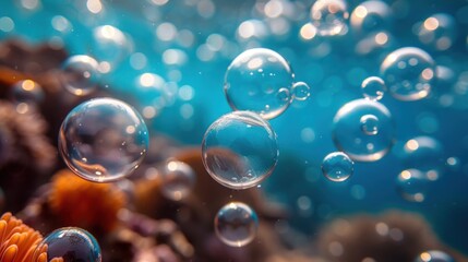  a group of bubbles floating on top of a blue ocean next to an orange sea anemone and an orange sea anemone under a bright blue sky.