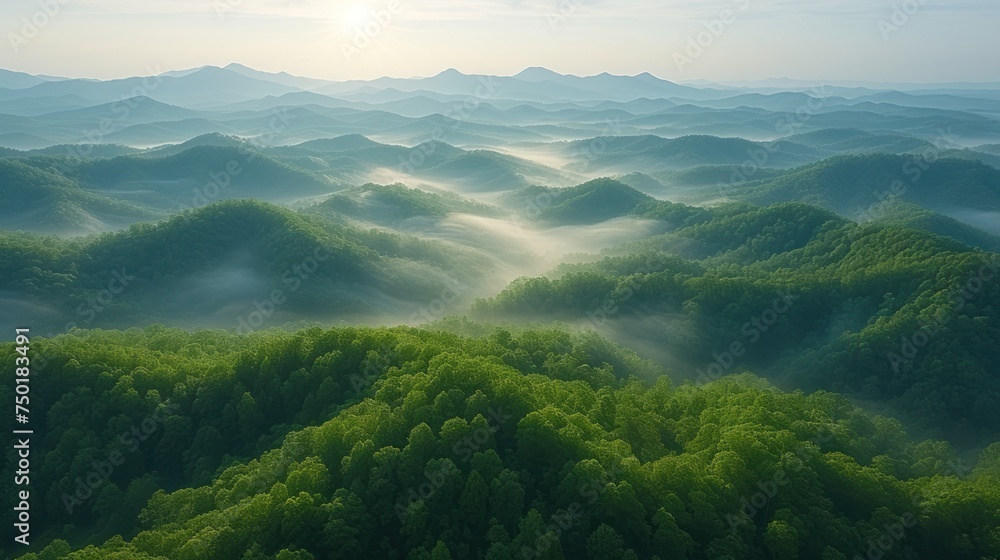 Poster an aerial view of a mountain range covered in mist and trees with the sun shining through the clouds