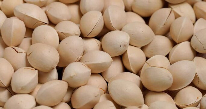 Pile of ginkgo seed nut close up