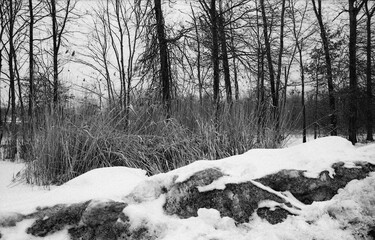 After the snow storm in New Jersey in late winter in black and white