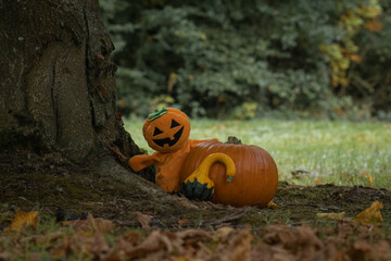 Halloween Pumpkins and Puppet by a Tree
