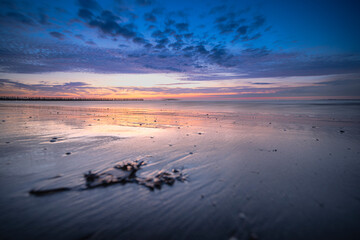 Dutch coast at dawn with a colorful sunset along the coast of the North Sea - 750193204