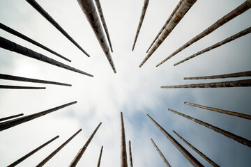 Wind Organ is a sound sculpture consisting of vertically placed bamboo tubes in which have been made holes. - 750194000