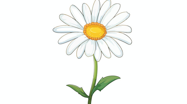 Daisy flower on stem cartoon isolated illustration i