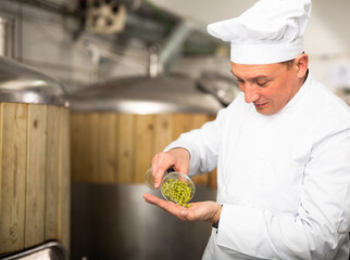 Skilled man brewmaster evaluating quality of hops pellets in workshop of beer factory.