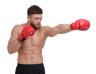 Man in boxing gloves fighting on white background