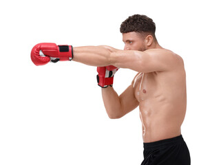 Man in boxing gloves fighting on white background