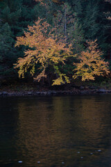 Dorwin Chute, Canada: Oct. 25 2021: Colorful autumn scenery view of Dorwin Chute in Quebec