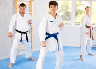 In gym, certified master coach conducts karate kata lesson with students and shows sequence of...