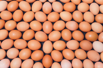Many eggs lie together on each other, brown eggs, a lot of chicken eggs. © Евгений Вершинин