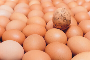 Many eggs lie together on each other, brown eggs, a lot of chicken eggs.