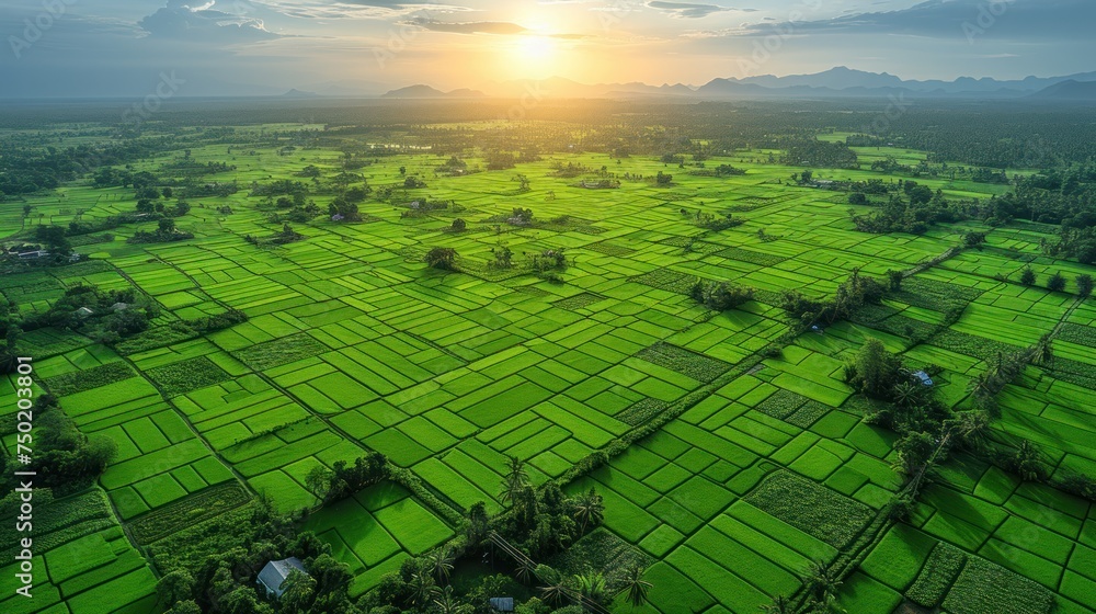 Poster an aerial view of a green field with trees and mountains in the background with the sun rising over 