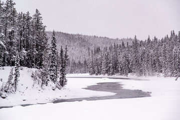 Jasper National Park，Canada - Dec. 25 2021: Frozen creek in surrounded by forest and rockie mountains in Jasper National Park
