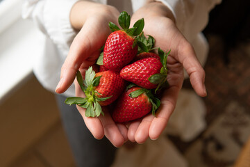 red ripe strawberry in female hands