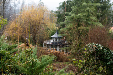 glass gazebo in the forest