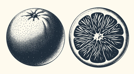 Sliced and whole orange. Vintage woodcut stipple engraving vector illustration. - obrazy, fototapety, plakaty