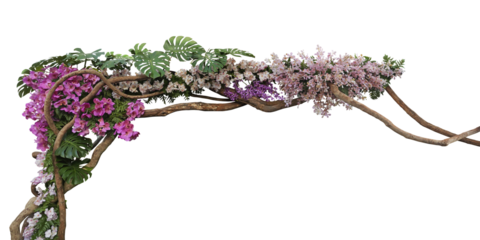 Tropical vibes plant bush floral arrangement with tropical leaves Monstera and fern and various orchids tropical flowers decor on tree branch liana vine plant