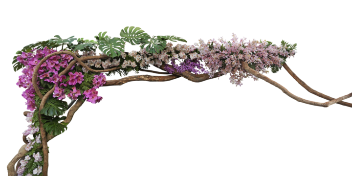 Tropical vibes plant bush floral arrangement with tropical leaves Monstera and fern and various orchids tropical flowers decor on tree branch liana vine plant