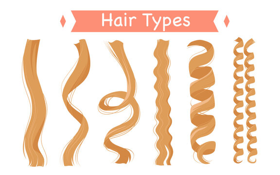 Curly hair types, infographic classification set vector illustration. Cartoon isolated group of light strands with different curls and structure, straight and frizzy, wavy and afro kinky hair