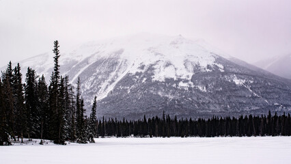 Yoho National Park, Canada - Dec. 23 2021: Frozen Emerald Lake hiding in winter forest surounded by...