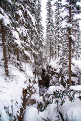 Maligne Canyon, Canada - Dec. 25 2021: Creek frozen in Maligne Canyon surounded by forest