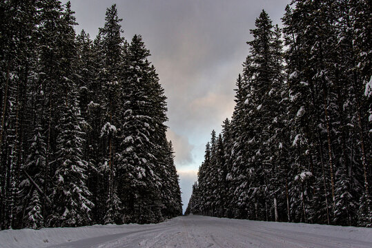 Lake Louise, Canada - Dec. 23 2021: Frozon Lake Louise with forest view and hut by lake side
