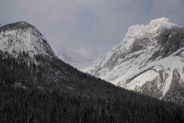 Obraz premium Yoho National Park, Canada - Dec. 23 2021: Frozen Emerald Lake hiding in winter forest surounded by rockies mountains in Yoho National Park