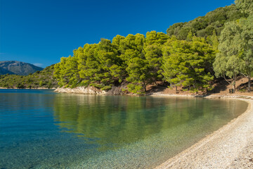 Beautiful Skinos beach with pine trees forest, Ithaki island, Kefalonia, Greece