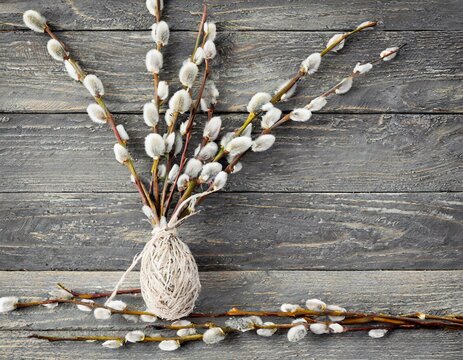 willow branches on gray wooden background, happy easter concept with negative space for banner