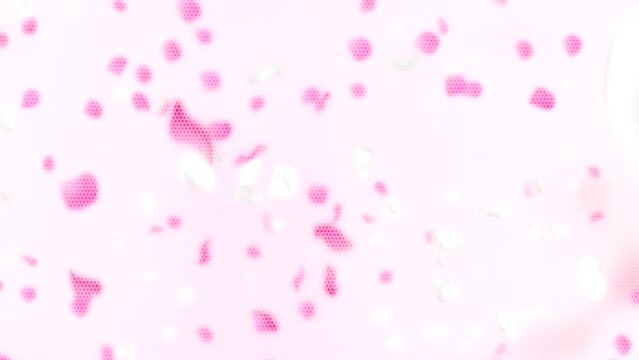 animated moving motion background showing moving flowers rose petals white chrysanthemum
