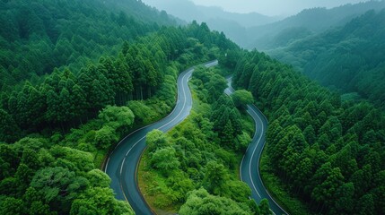 countryside road pass through natural green forest viewpoint.