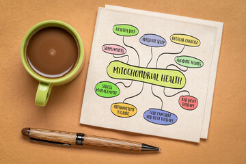 mitochondrial health concept - mind map infographics, sketch on a napkin, healthy lifestyle and aging