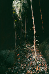 Amazon cave