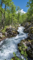 Naklejka na ściany i meble Serene mountain stream flowing through lush forest