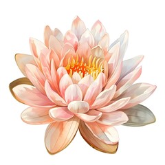 Watercolor Water Lily Illustration in Light Pink and Bronze