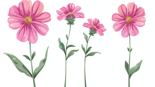 Pink flower on stem floral set cartoon isolated illu