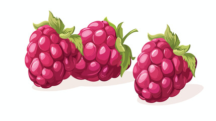 Raspberry pink berry flat isolated illustration isol