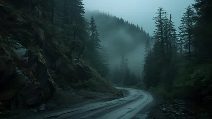  Misty forest road in a serene mountain landscape © Mustafa